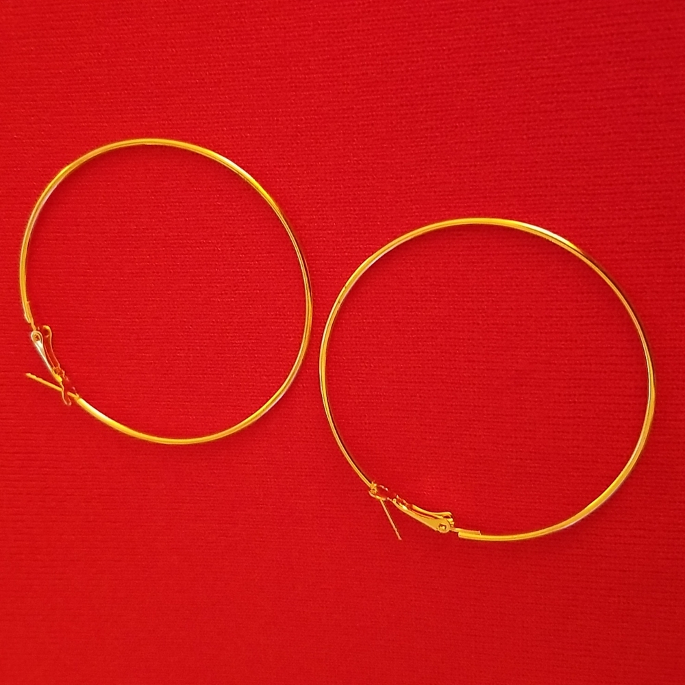 Hoop Goldtone Earrings - Picture 5 of 6